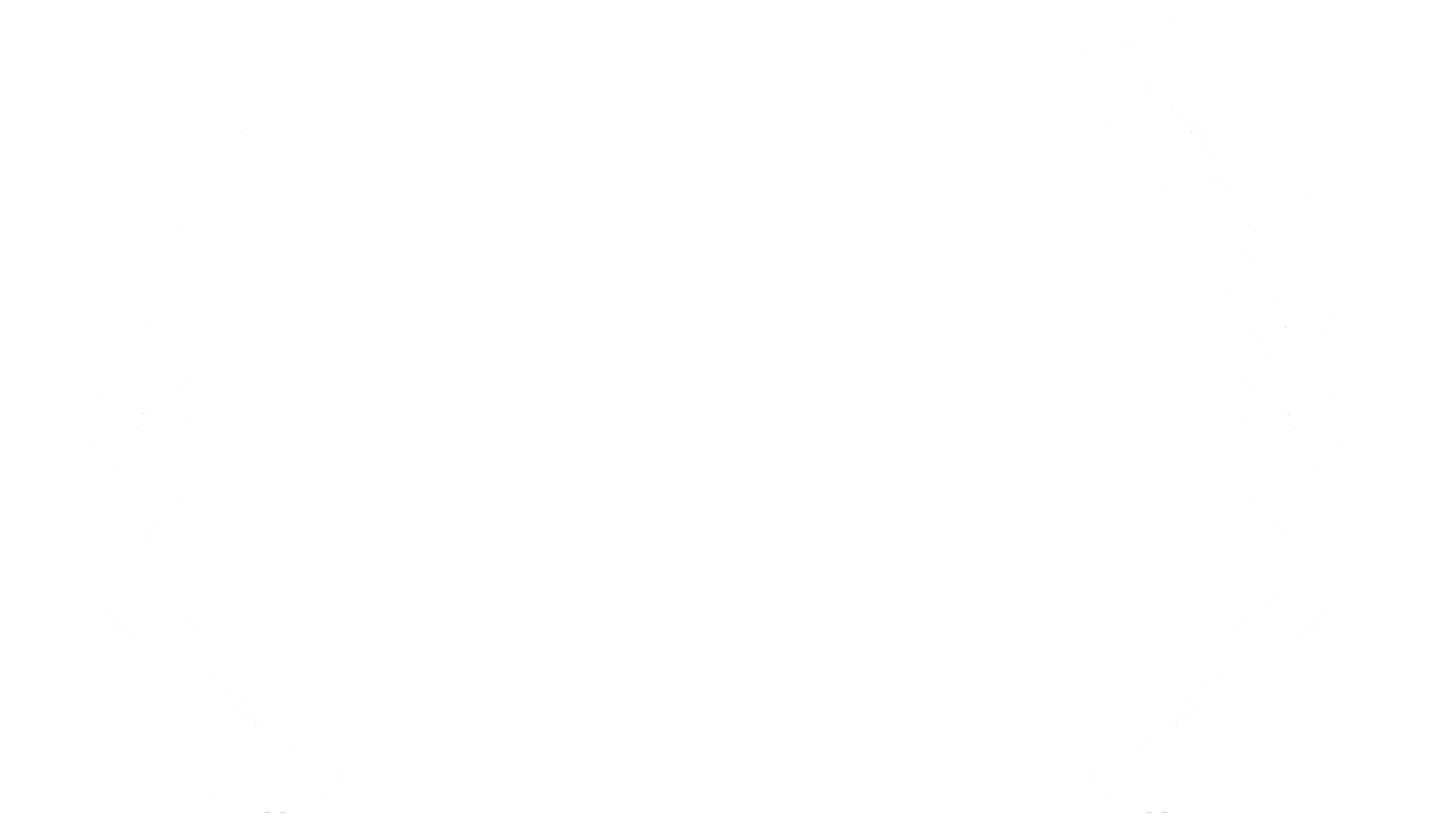 Festival of Nations Logo