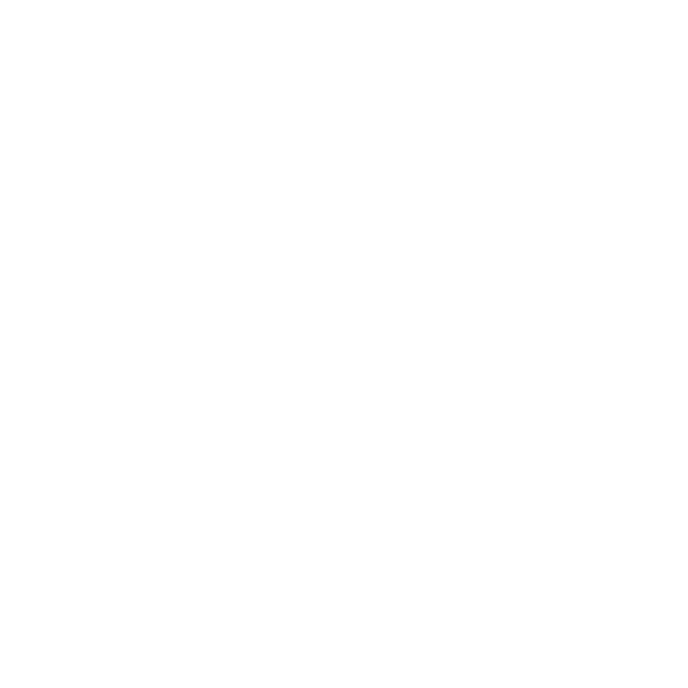 Partner Musikschule